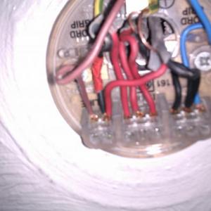 Pendant Switch + Rose