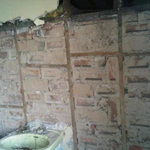 bathroom/bedroom wall