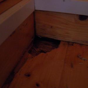 rotting wood in cabin