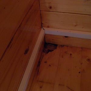 rotting wood in cabin