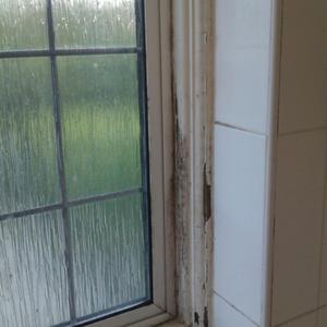 Bathroom window