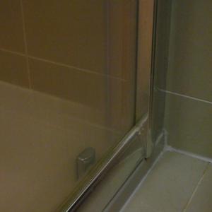 SHower door