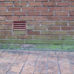 Outside Wall and Concrete Drive