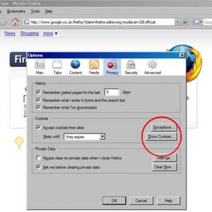 Firefox Cookies - Step 2
