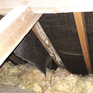 White stuff along one rafter