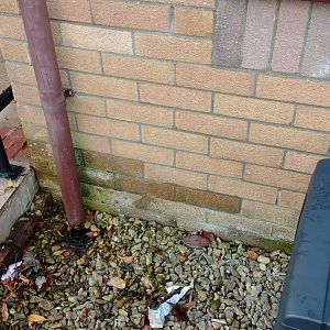 17DC49F4-679B-47B0-82EA-5266A3157943