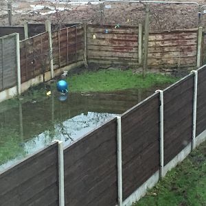 012AF188-1E71-4BA5-9612-1E69C3C9B593