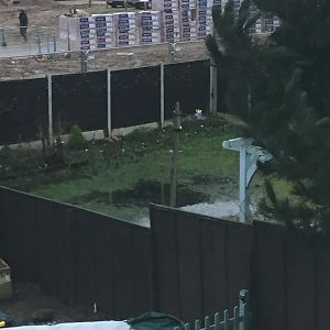 FCC35FAF-1DD7-4C5A-9AE8-61E8F7996B22