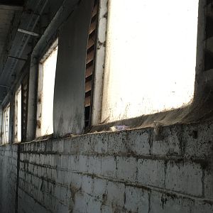 EE4C0AAE-827A-479C-9AA1-3667265CC65E