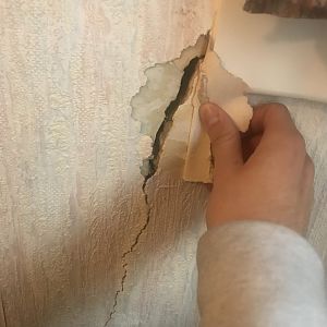 F399A0A1-95C2-486D-8DB7-62D31500F27B