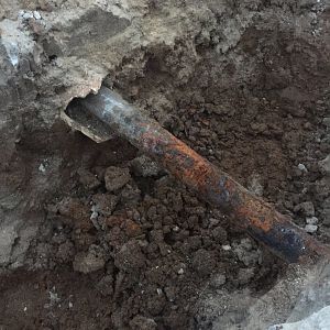 D87B22AB-D3B3-4CAA-9294-2D9A25428CCF