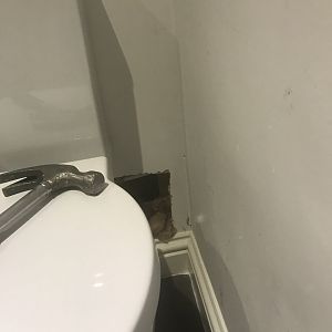 A4B4E733-4EC3-4FAE-8055-B55F92786EE5