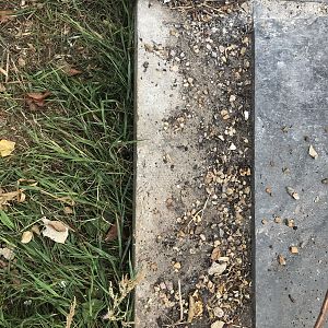 34989D97-916C-41EE-8D00-7CC9B4EFFB25