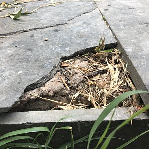 4B82C5DB-8327-4624-9BC4-0603C4BBFAC6