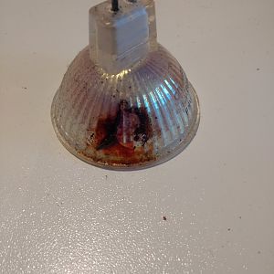 IMG_20180914_182736754