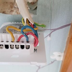 Photo_2018-09-21_16-40-50