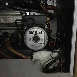 42510389_10217018796807302_3995339446739271680_n