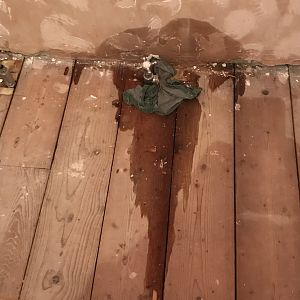 03B5515D-DE0F-4345-92E4-F09CA2AFBC9F