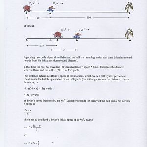 BotanicalPuzzle6_p1b