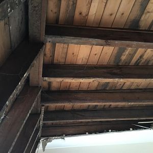 Underside of flat roof