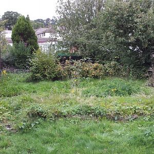 Back garden before work starts