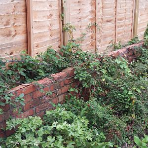 Back garden before work starts