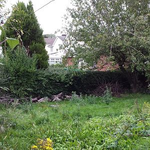 Back garden before work starts