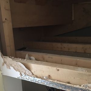 3B198D41-BA4A-4B0C-8EDD-EE5EAF15569A