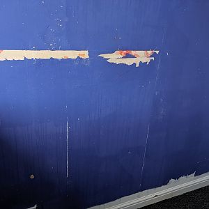 MVIMG_20190701_180030