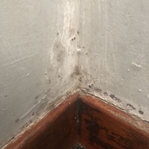 CA31AFC3-3EF6-4C40-994C-D130EC3DD789