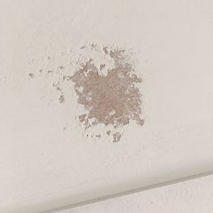 zinsser bin sanded badly