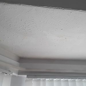 Bay Ceiling 2