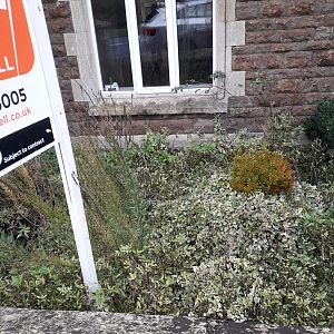 7 - Front Of House To Living Room  Window