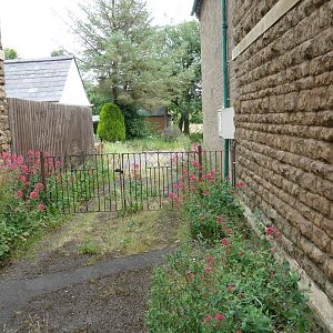 5 - Outside To Left Of House  Looking Back