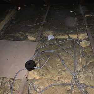 7363AB9D-C696-4D27-B992-94B49B31E3B2