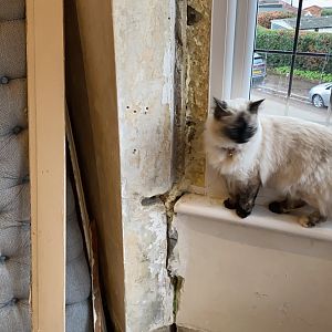 9E5709A8-FB96-437E-929A-1FCD02EDB660