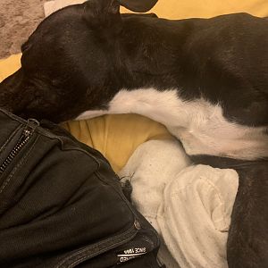 E12BCC52-0665-4F0B-9C55-9FB25AC762B4