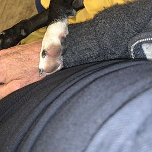 CE01CF18-9385-4C68-9078-2A5F4BA694F8