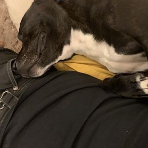 C45305BA-9340-4005-B8DB-4ABF2E0DF1DF