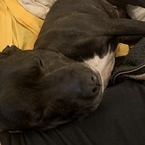 C7DF3C80-3064-4DA7-B350-D227A1B9C085