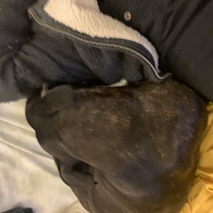 E749EE79-CA42-4093-B848-7371304ECF08