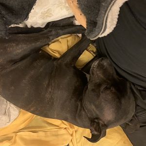 37151E71-96C2-4F1E-BEC2-43FC7AC06643