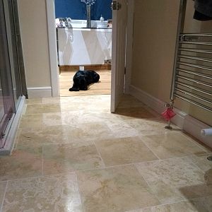 IMG_20200325_224003_LL