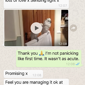 63A97DE6-35FC-4BB8-B7A5-26014164FC67