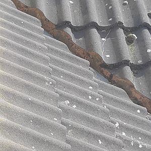 1587048133498601192565