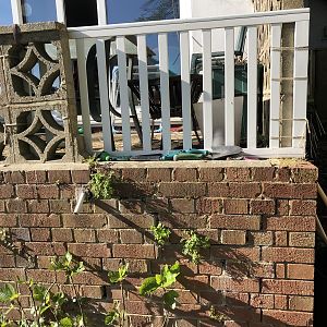 64DA336F-6524-4D01-9464-0EB2A7A0A8BB