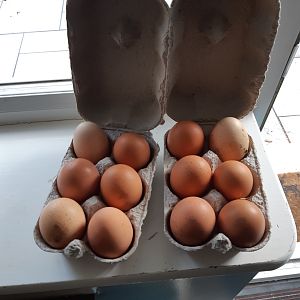 15884125436011513545560