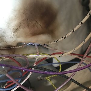 7D8B80E1-F79C-457E-BFF8-DC697E4C0EDF