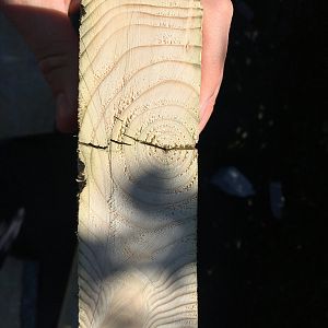 99D5AC58-74BE-442B-A543-BDD8110BD947