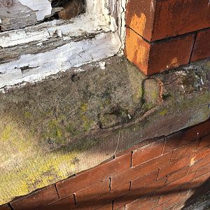 Rear Lintel - Kitchen 2